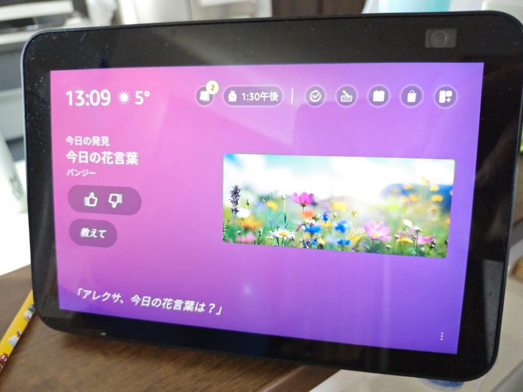 アレクサ花言葉