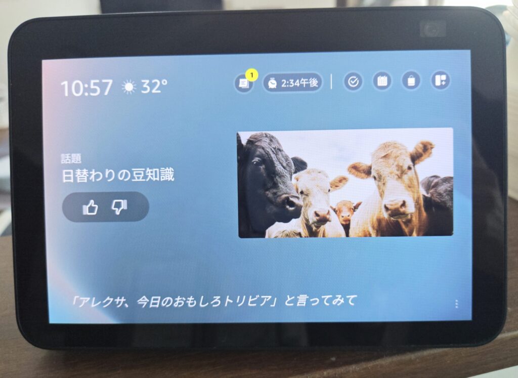 EchoShow8